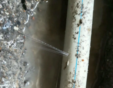 东安测漏水哪家好