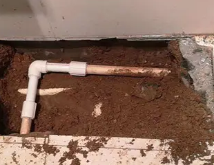 东安测漏水哪家好