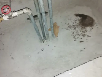 东安卫生间测漏水价格明细