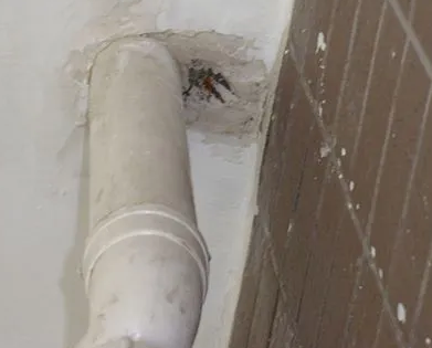 东安漏水检测哪家好